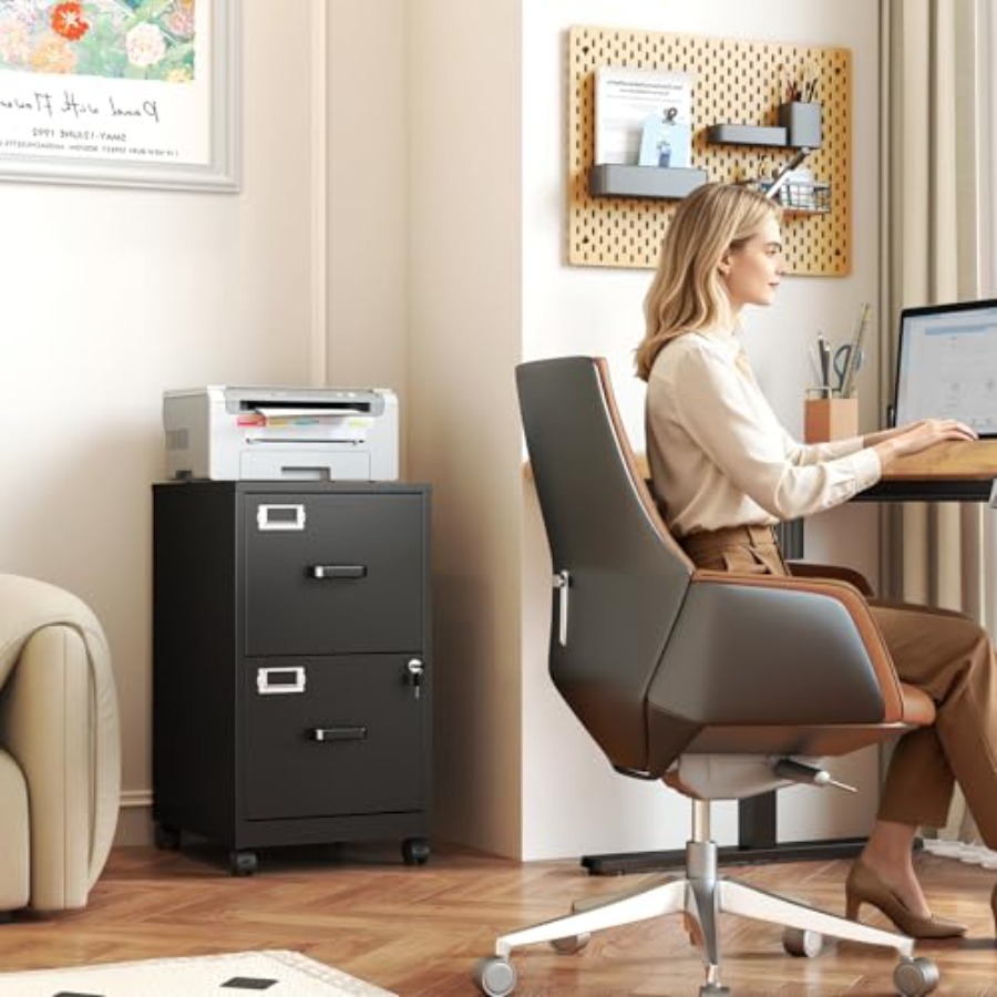 Rolbare archiefkast met 2 lade - File Folder Hanging recensie en prijs
